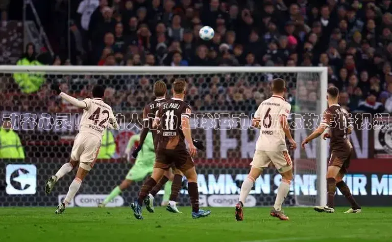 EON4招商百度网盘