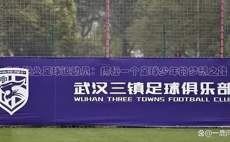 EON4代理百度手机卫士