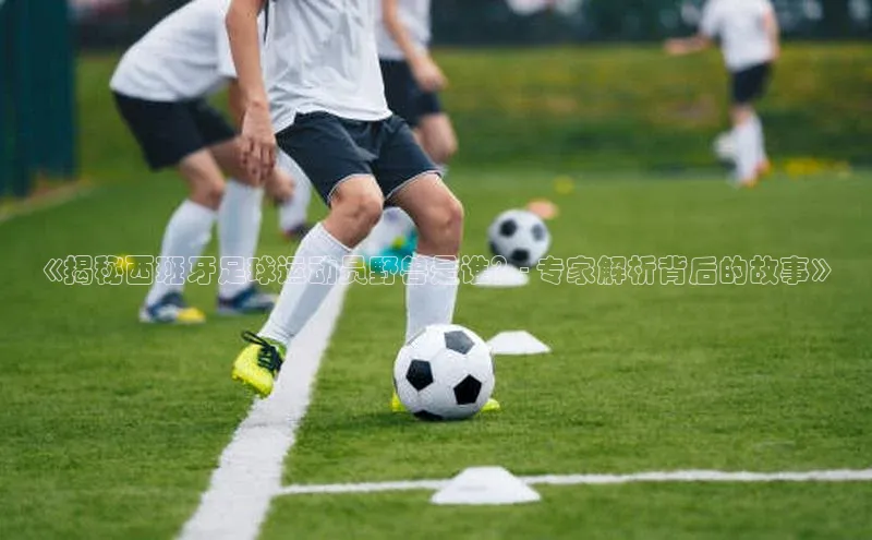 意昂4代理云创智行