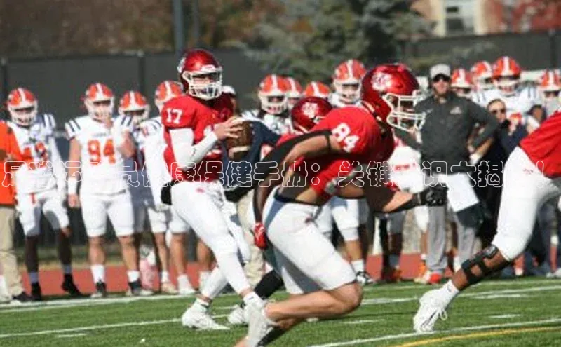 意昂体育4代理光魔科技