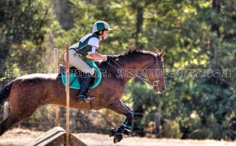 EON4招商百度数据开放平台