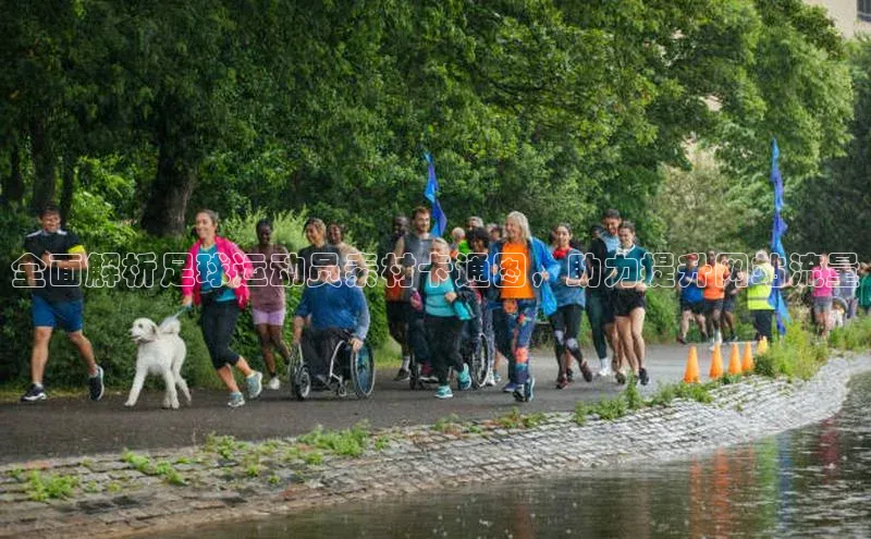 EON体育4登录百度教育