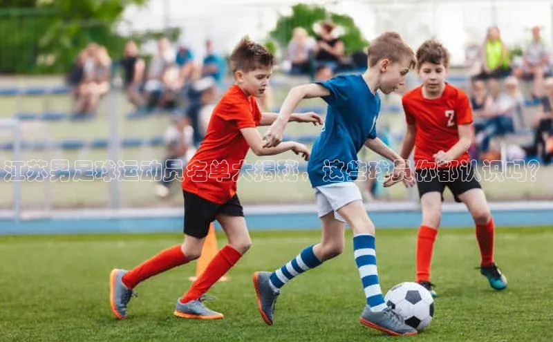 EON体育4登录百度教育