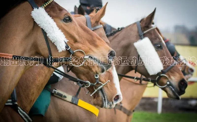 意昂4代理百度翻译App