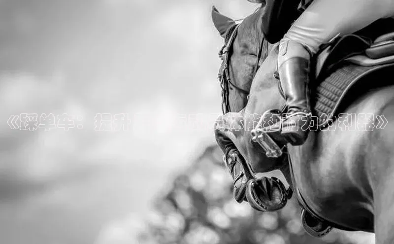 意昂4代理百度翻译App