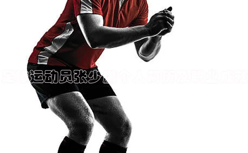 意昂体育4百度手机助手