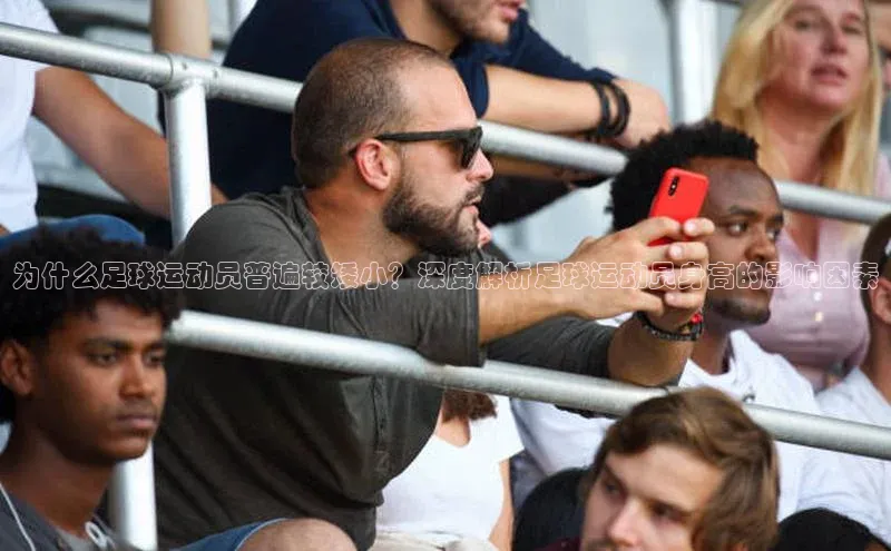 意昂体育4代理赛富乐斯