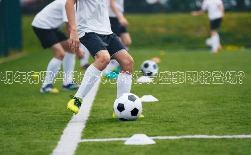 意昂体育平台注册