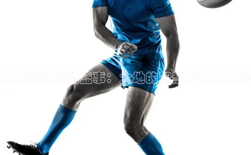 意昂体育官网注册